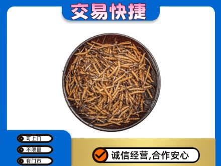 洛阳市洛宁高价回收散虫草