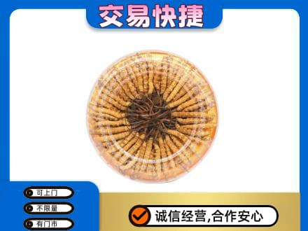 洛阳市洛宁高价回收虫草礼盒